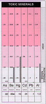 Hair Mineral Chart